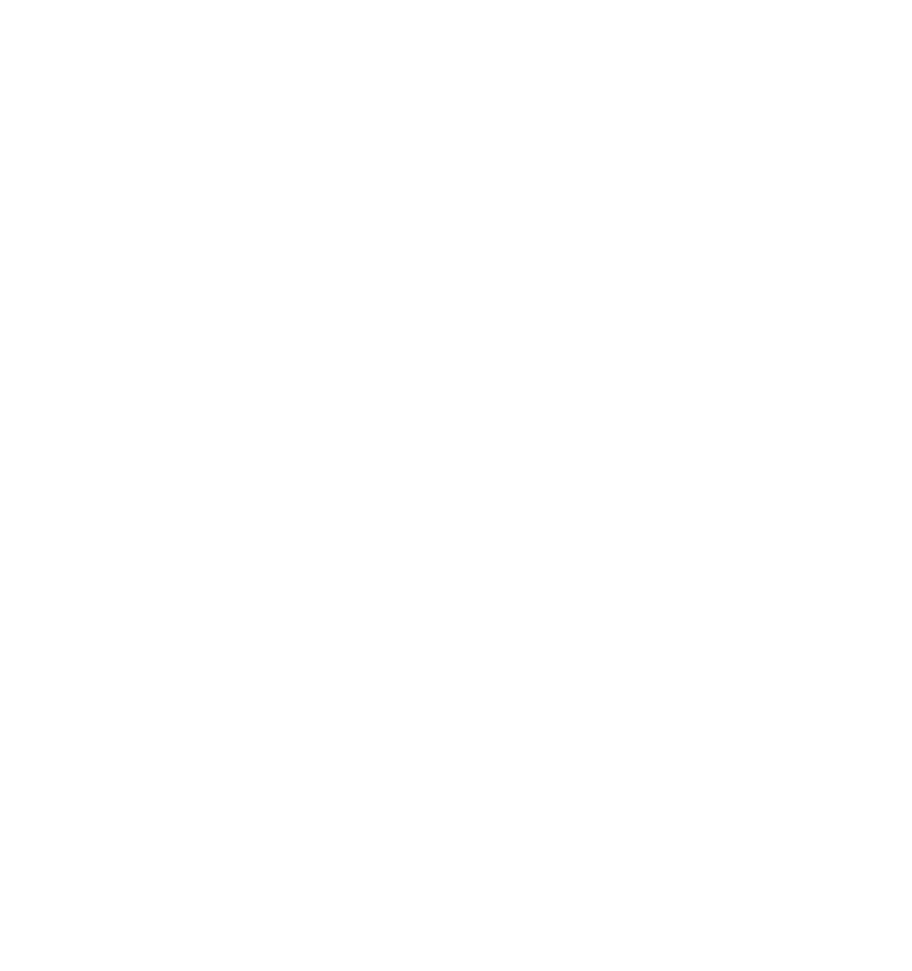 Islander Orthodontics Footer Logo White